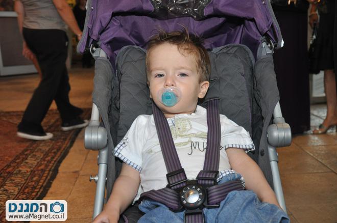 תמונה גדולה